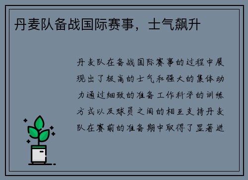 丹麦队备战国际赛事，士气飙升