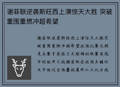 谢菲联逆袭斯旺西上演惊天大胜 突破重围重燃冲超希望